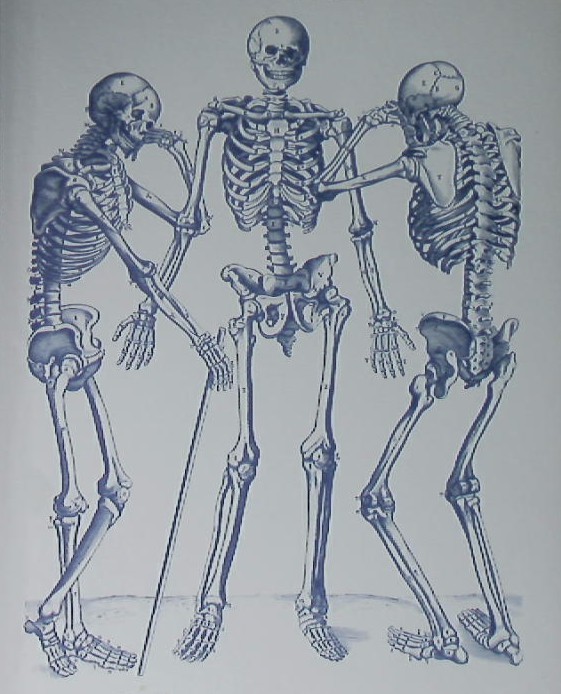 HANDBIBLIOTHEK MEDIZIN & WISSENSCHAFT